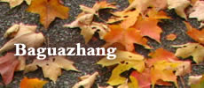 Baguazhang